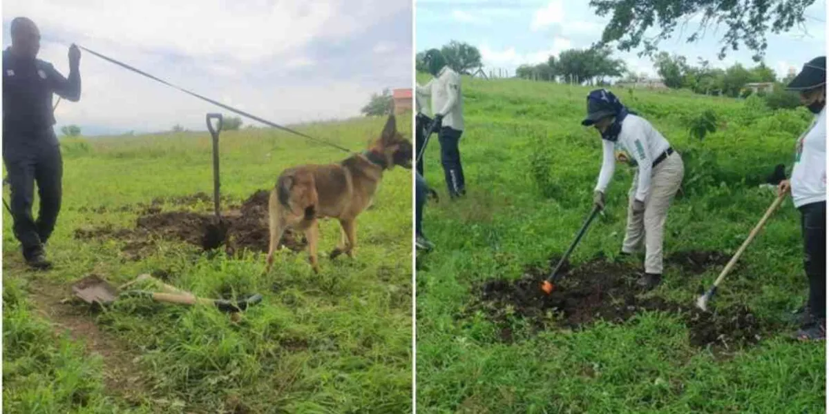 Autoridades de Xochitepec y la Comisión de Búsqueda hallan 2 fosas clandestinas