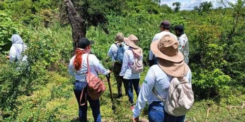 Recorren Zacatepec, Buscadoras del Sur