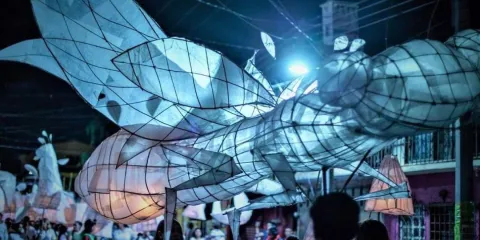 Señaló que con este festival, también se busca que la ciudadanía, a través de un desfile de luciérnagas, se apropie de los espacios públicos e ilumine las calles con las linternas que fabricarán los participantes en este movimiento