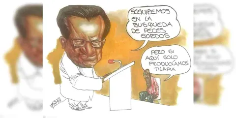 Plan DAI