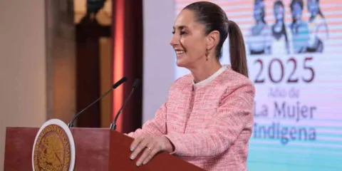 Querida presidenta 