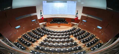 Nepotismo y reelección 