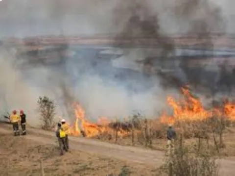 En Cuautla, incrementan incendios de pastizales por quemas agrícolas sin control: Bomberos