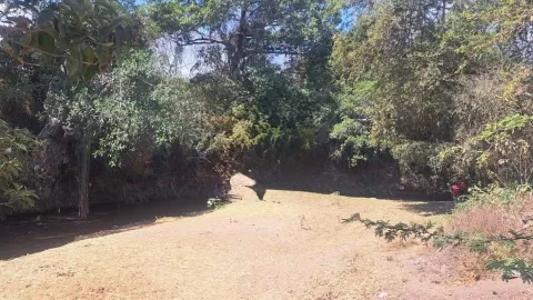 Localizan a pareja sin vida en el río Yautepec 