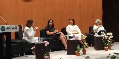 Urgente impulsar el desarrollo económico de la mujer: Meggie