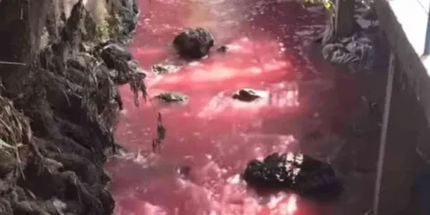 Reconoce SAPAC que empresas y hoteles contaminan las barrancas de Cuernavaca