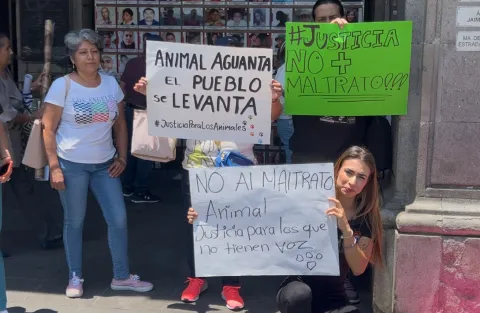 En las puertas del Palacio de Gobierno, los colectivos animalistas protestaron en exigencia de justicia por esta perrita que sufrió un deplorable ataque