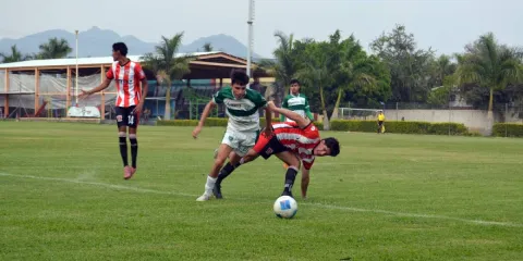 Tigres y Selva pelearon por los puntos a la clasificación