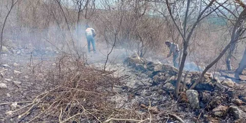 "Quema controlada", amenaza la Sierra de Montenegro en Tlaltizapán