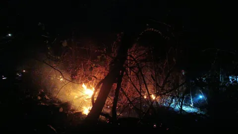 Tras 11 días de labores, logran sofocar incendio en el Cerro del Gallo, Tlaltizapán