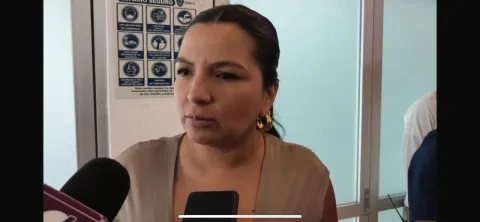 Hasta Mayo dictamen para la despenalización del aborto: Melissa Montes de Oca