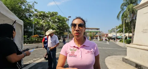 En Cuautla, promueven limpieza de patios para evitar picadura de araña violinista 