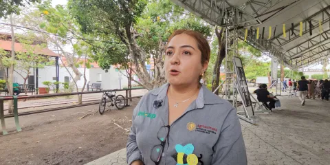Llaman al cuidado y protección de abejas y polinizadores