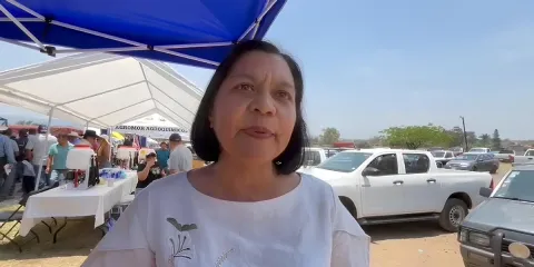 Alcaldes deberán solicitar al Congreso mayor presupuesto para el campo: Sedagro
