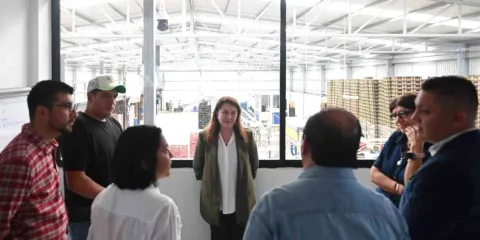 Impulsa Gobierno de Morelos exportación de aguacate a Estados Unidos