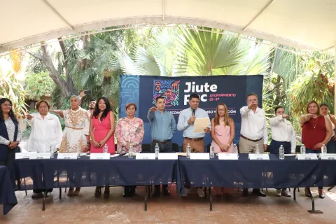 jiute seguridad 