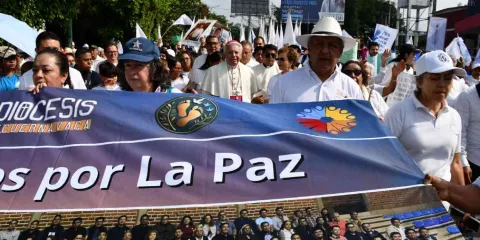 Marea blanca contra la violencia: marchan miles por la paz