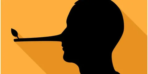 Desinformar, engañar o manipular