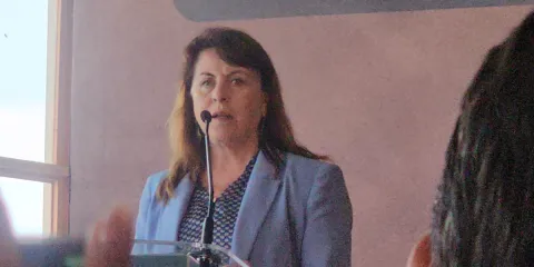 Morelos, avanza en materia de seguridad en la Mesa de Seguridad Metropolitana: Margarita González Saravia