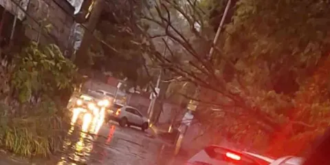 Intensa granizada en Cuernavaca dejó múltiples encharcamientos y caída de árboles en Jiutepec