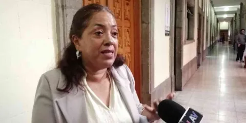 Exhorta diputada federal a mexicanos en EU a que eviten participar en las protestas