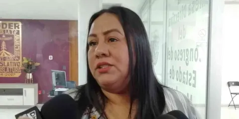 Presenta Jazmín Solano, reforma para sancionar la sustracción ilegal