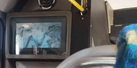 •	Surrealismo, excentricidades y desperfectos en transporte público