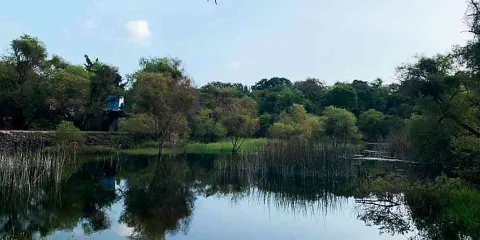 Santa Catarina y la defensa del Texcal.