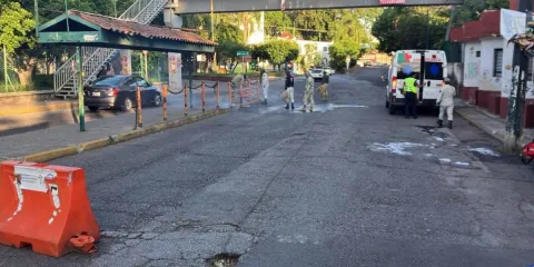Pánico en Cuernavaca por ataque masivo de abejas; un hombre fue hospitalizado en estado delicado