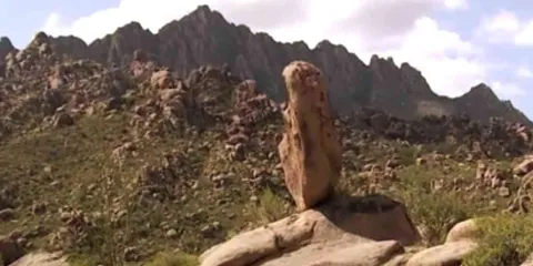 Por lluvias, refuerzan la vigilancia en cerro El sarnoso de Jiutepec