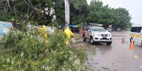 Tromba causa estragos en municipios de zona oriente