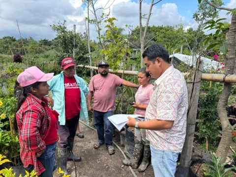 jiutepec 
