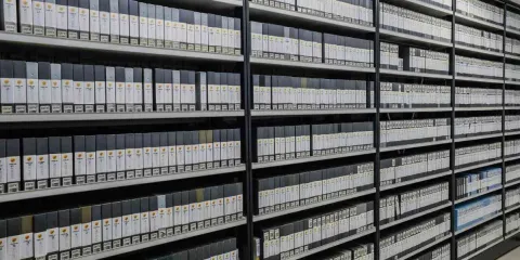 La vida a través del archivo