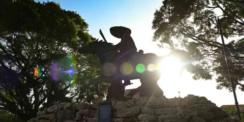 El viaje de Zapata