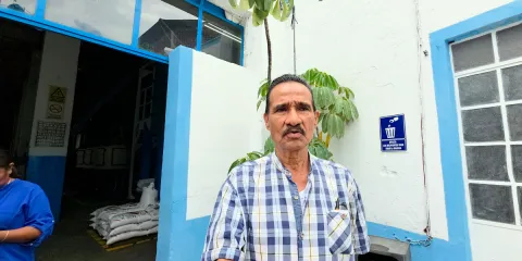 Aumenta la producción de arroz en Cuautla