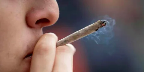 Alertan en Sinaloa por mariguana contaminada con fentanilo