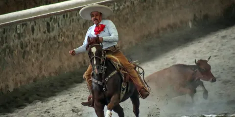Charros realizaron exhibición de varias suertes en el evento realizado en “El Capote”.