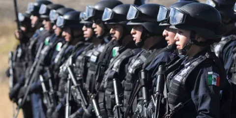 La seguridad ciudadana como derecho humano