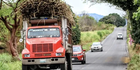 Productores de caña de Morelos