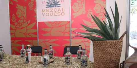 Derrama de 6 MDP en la Feria del Mezcal y Queso: Sánchez Trujillo