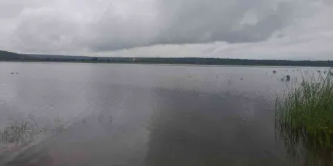 Restaurantes dañan con aguas negras la laguna de Coatetelco