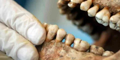 La ciencia forense, el arte de hablar por los muertos