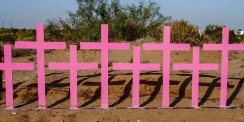 Van 95 feminicidios en 2025: Divulvadoras