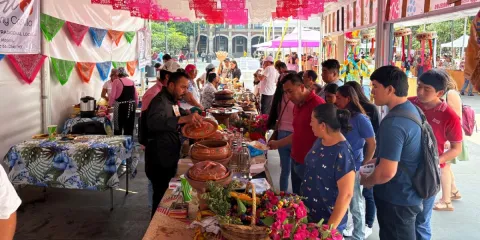 Durante este evento, se contó con la participación de Perú como país, como estado invitado Guanajuato, así como de los municipios de Xochitepec, Jojutla y Tlaltizapán 