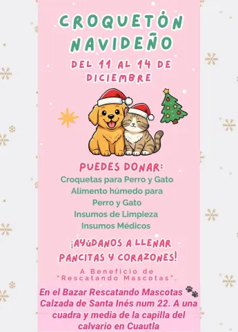  En Cuautla, invitan a participar en el Croquetón Navideño 2025 para apoyar a animales rescatados