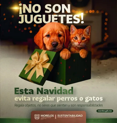 mascotas