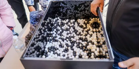 Bola blanca ¿una represalia selectiva?