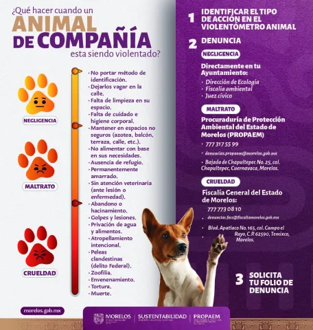 animales cuerna 