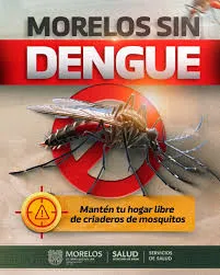 Cuautla reduce 99 por ciento los casos de dengue gracias a acciones preventivas