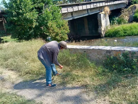 Brigadas ambientales refuerzan el saneamiento del Río Cuautla para prevenir riesgos, proteger ecosistemas y mejorar la imagen urbana.